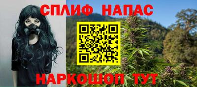 мдпв Можга