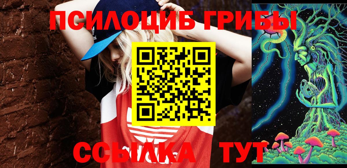 Усинск  Галлюциногенные грибы Cubensis  Вход с VPN 
