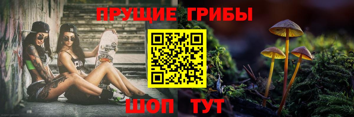 Псилоцибиновые грибы Psilocybe Усинск